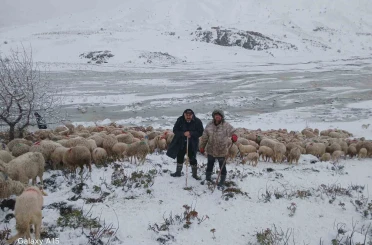 Tipi vurdu heyelan yolu kapattı, 2 çoban ve yaklaşık 650 küçükbaş hayvan yaylada mahsur kaldı 