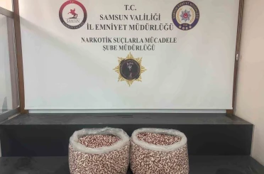 Tırın yatak bölümünde 129 bin 500 uyuşturucu hap ele geçti 