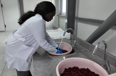 TOGÜ Çiftlik Tarım Ürünleri Kurutma Tesisi üretim ve eğitimi bir araya getiriyor 
