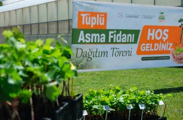TOGÜ’den üreticiye bağcılık desteği 