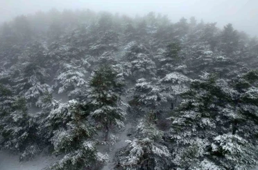 Tokat’ta bahar ortasında yağan kar mest etti 