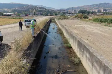 Tokat’ta sivrisinek ve haşerelere karşı kapsamlı ilaçlama seferberliği
