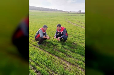 Tomarza’da zirai don uyarısı sonrası saha kontrolleri devam ediyor 