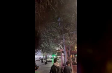 Topunu almak için çıktığı ağaçtan inemeyen çocuğun yardımına itfaiye yetişti 