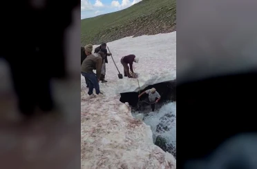 Tortum’da buzullarda dana kurtarma operasyonu 