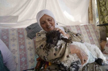 Torunu gibi büyüttüğü kuzu "Boncuk" evin neşe kaynağı oldu 