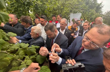 Trabzon’da kahverengi kokarcaya karşı doğal ordu göreve başladı 