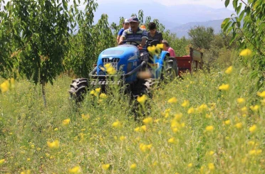 Traktörde "50 binler kulübü"ne 2 şehir daha katıldı 