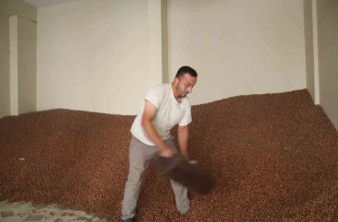 Tüccarlar fındık fiyatı konusunda farklı görüşte 