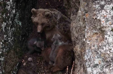 Tunceli’de belgeselleri aratmayan görüntüler 