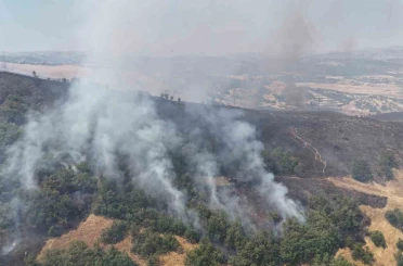 Tunceli’de orman yangını: Havadan ve karadan müdahaleye başlandı 