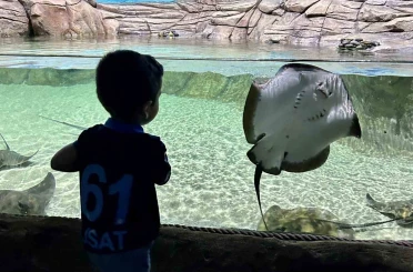 Tünel Akvaryum turistlerin gözdesi oldu 