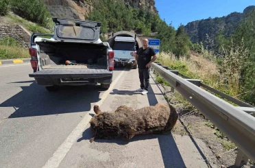 Tünelde başlayan yaşam mücadelesi çayda son buldu 