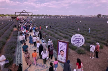 Türkiye'nin en büyük lavanta bahçesinde festival heyecanı
