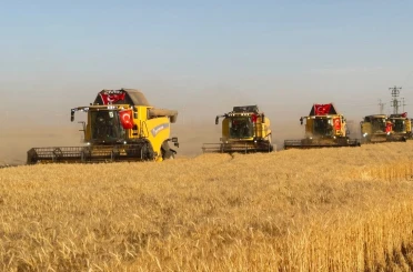 Türkiye’nin en büyük tarım işletmesinde hasat zamanı 
