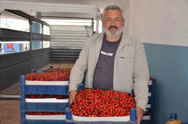 Türkiye’nin en erken kiraz yetişen ikinci ili olan Bilecik’te bu yıl rekolte yüzleri güldürdü 