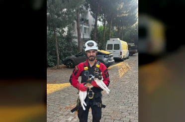 Üç gündür ağaçta mahsur kalan kedi kurtarıldı 