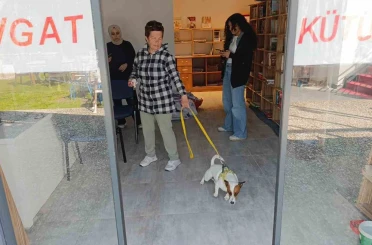 Ukraynalı kadın hayatının şokunu yaşadı, kurt köpeğiyle dalaşan kucağındaki köpeği parmağını parçaladı 