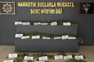 UNESCO Dünya Mirası Listesi’ndeki Hevsel Bahçeleri’nde uyuşturucu ele geçirildi 
