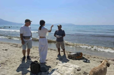 Üremek için geldikleri kıyılarda 3 caretta caretta ölü bulundu 