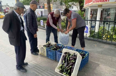 Ürettiği patlıcanlar maliyetini kurtarmayınca serasının kapılarını vatandaşlara açtı 