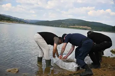 Uşak’ta Göğem Göleti’ne pullu sazan yavruları bırakıldı
