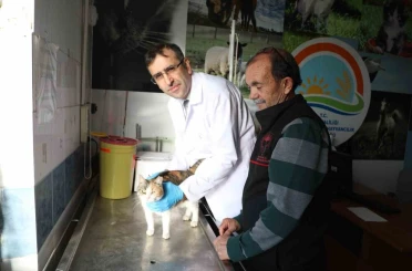 Uşak’ta kedi ve köpek sahiplerine mikroçip uyarısı 