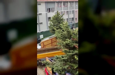 Üsküdar Belediyesi’nin ruhsat verdiği inşaat alanında ağaçlar kesildi 