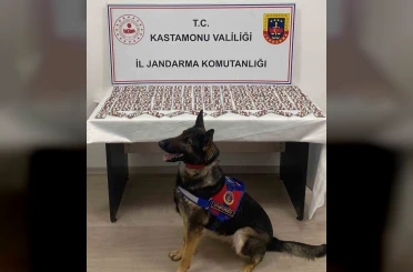 Uyuşturucuyla yakalanan şahıs utuklandı 