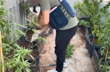 Uyuşturucuyu saksılara ekip evinin çevresine yerleştirmiş 