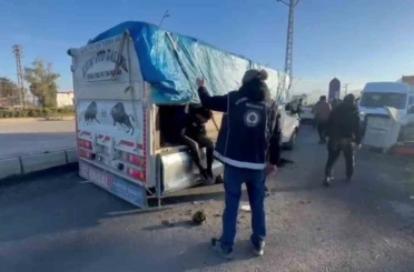 Üzeri hayvan dışkısıyla kapatılan kamyonetin gizli bölmesinden kaçak göçmen çıktı 