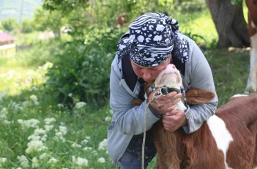 Üzümlü’de yabancı gelin hayvancılığa renk kattı 