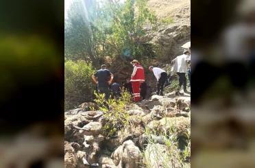Van’da 334 koyun uçurumdan düşerek telef oldu 