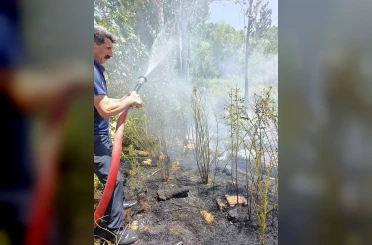 Van’da ağaçlık alanda yangın 