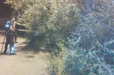 Van’da bahçe yangını korkuttu 