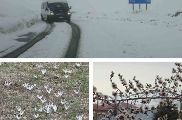 Van’da iki mevsim bir arada: Bir yanda bahar, diğer yanda kış 