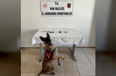 Van’da İran uyruklu şahsın üzerinden 380 adet sentetik hap ele geçirildi 