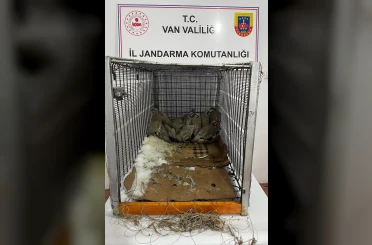 Van’da keklik avına 75 bin 303 TL idari para cezası 