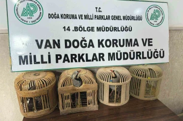 Van’da keklik avlayan şahsa 86 bin 278 lira para cezası 