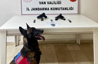 Van’da ruhsatsız tabanca ele geçirildi 