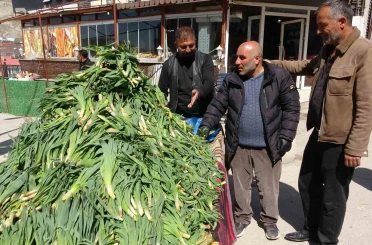 Van’da şifa kaynağı ‘çiriş otu’ tezgahlardaki yerini aldı 