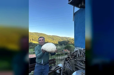 Vatandaşın bulduğu 5 kiloluk mantar şaşırttı 
