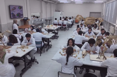 Veteriner Fakültesi, yeni derslik ve laboratuvarlarıyla öğretim kalitesini güçlendirdi