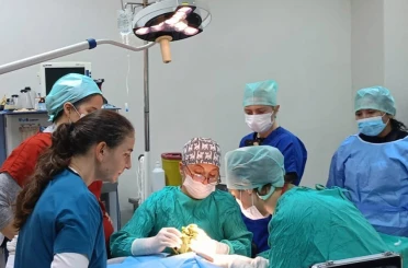 Veteriner Fakültesinde 3 bin hayvana şifa 