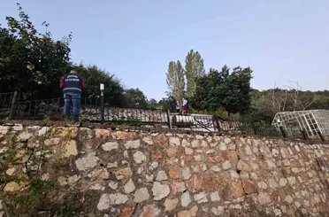 Villada yarım milyonluk paneller çalındı
