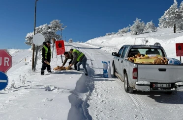 Yaban hayvanları için ormana yem bıraktılar 
