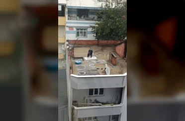 Yağmurlu havada çatıda halı yıkadı, görenler şaştı kaldı 