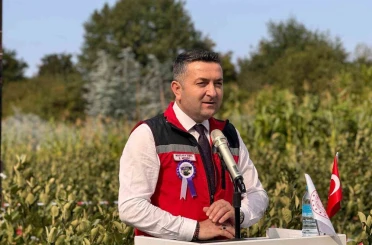 Yalova’nın coğrafi işaretli meyvesi aronyada hasat sevinci