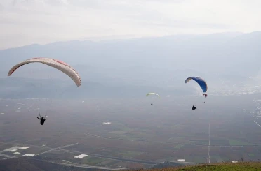 Yanan ormanlar için gökyüzünden paraşütle tohum yağdı 