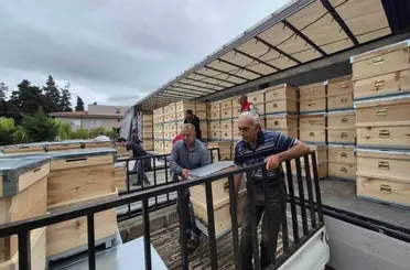 Yangından etkilenen arıcılara 2 bin kovan dağıtıldı
